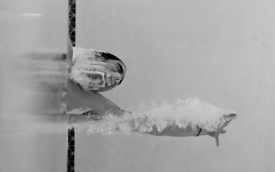 Manual VAT Reclaim vs. Our Streamlined Service: Why Struggle When You Can Reclaim With Ease?