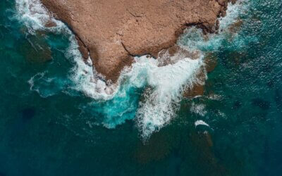Why Being in Cyprus Makes Foreign VAT Reclaim Easier — And How Your Business Can Benefit